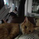 Herlene Budol, kita panty during live : r/ChikaPH .